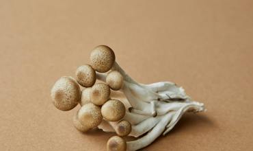 Preparation techniques