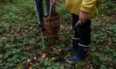 Storing Mushroom Longs