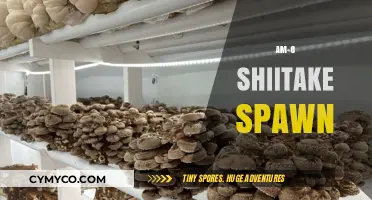 Shiitake Spawn AM-8: Unveiling the Secrets of Mushroom Cultivation