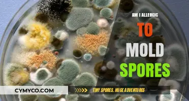 Could Mold Spores Be the Culprit Behind Your Allergy Symptoms?