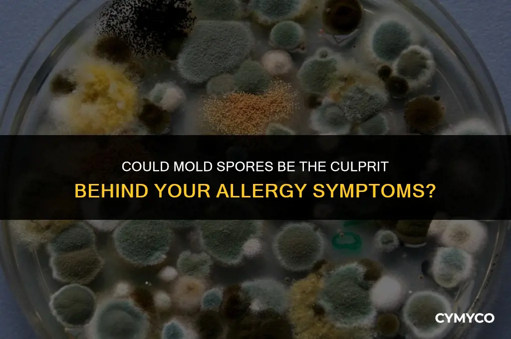 am i allergic to mold spores