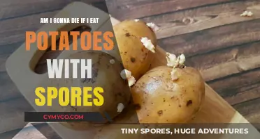 Potato Spores: A Tasty Risk or a Deadly Mistake?