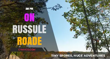 Exploring Russule Road's AM to PM Transformation: A Day in Focus