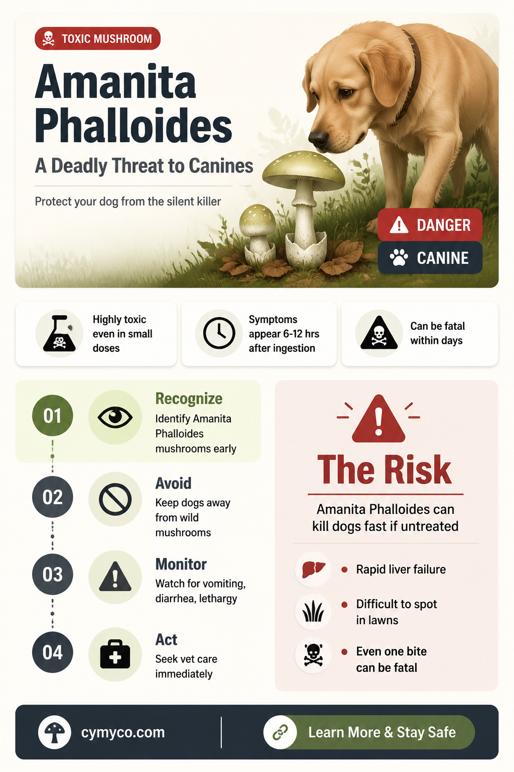 are amanita phalloides poisonous to dogs