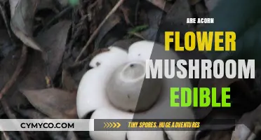 Exploring Edibility: Acorn Flower Mushrooms - A Tasty Discovery?