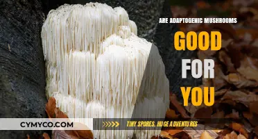 Exploring the Health Benefits of Adaptogenic Mushrooms