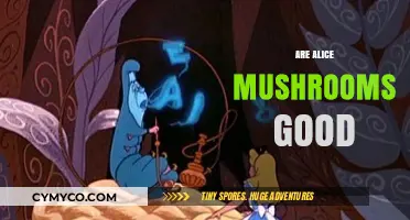 Exploring the Edibility and Benefits of Alice Mushrooms: A Comprehensive Guide