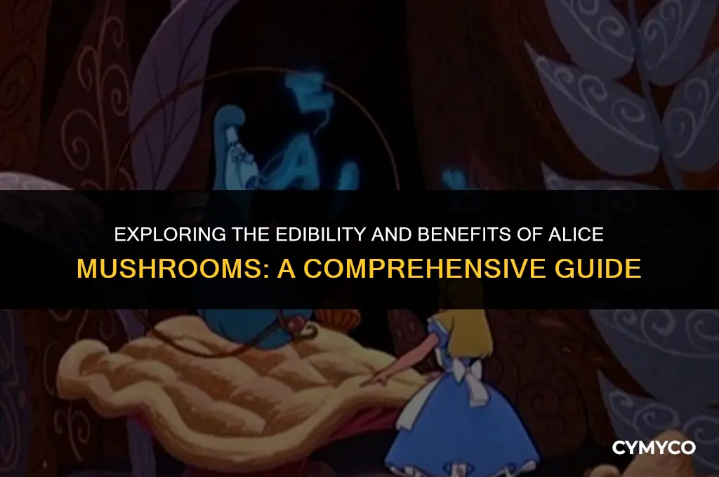 are alice mushrooms good