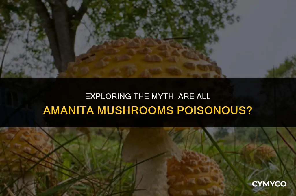 are all amanitas poisonous