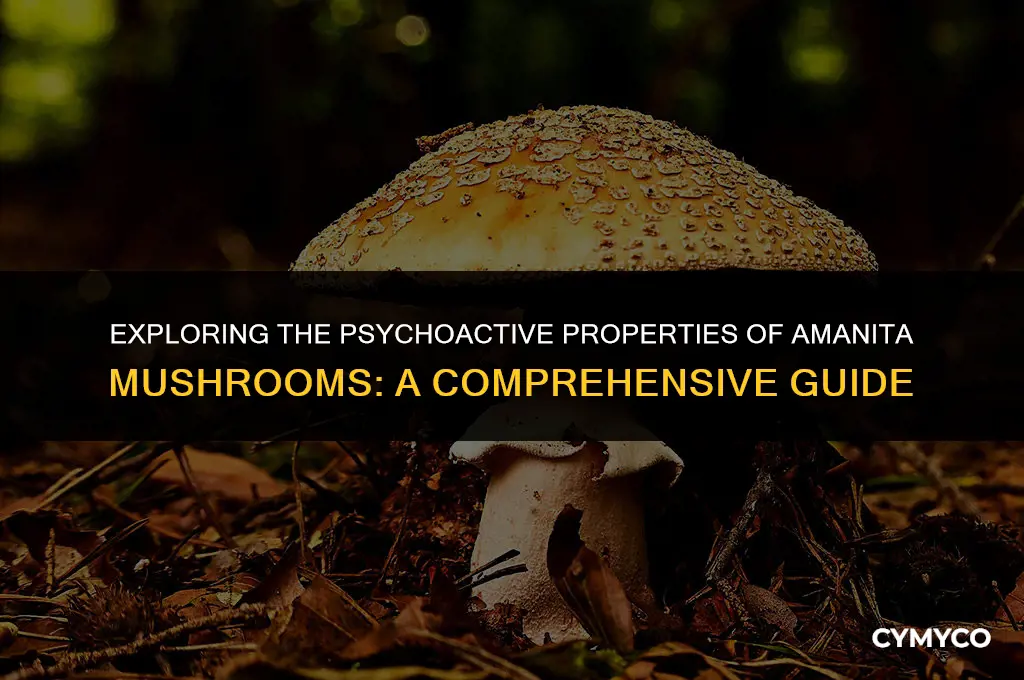 are all amanitas psychoactive