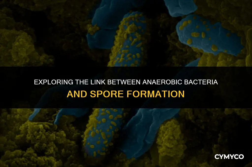 are all anaerobes are spore forming