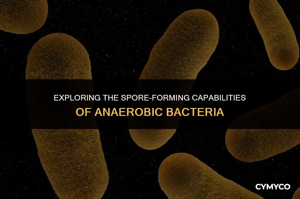 are all anaerobic bacteria spore formers