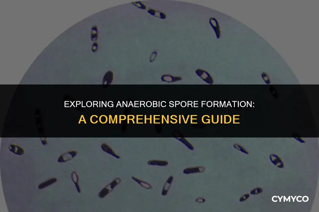are all anaerobic spore forming