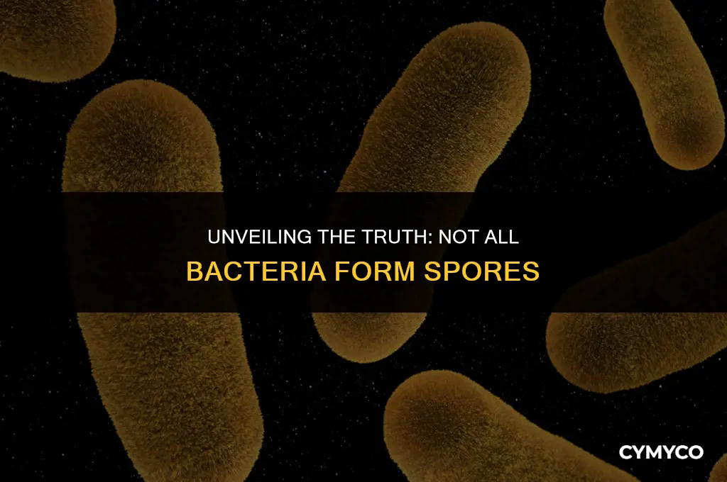 are all bacteria spored
