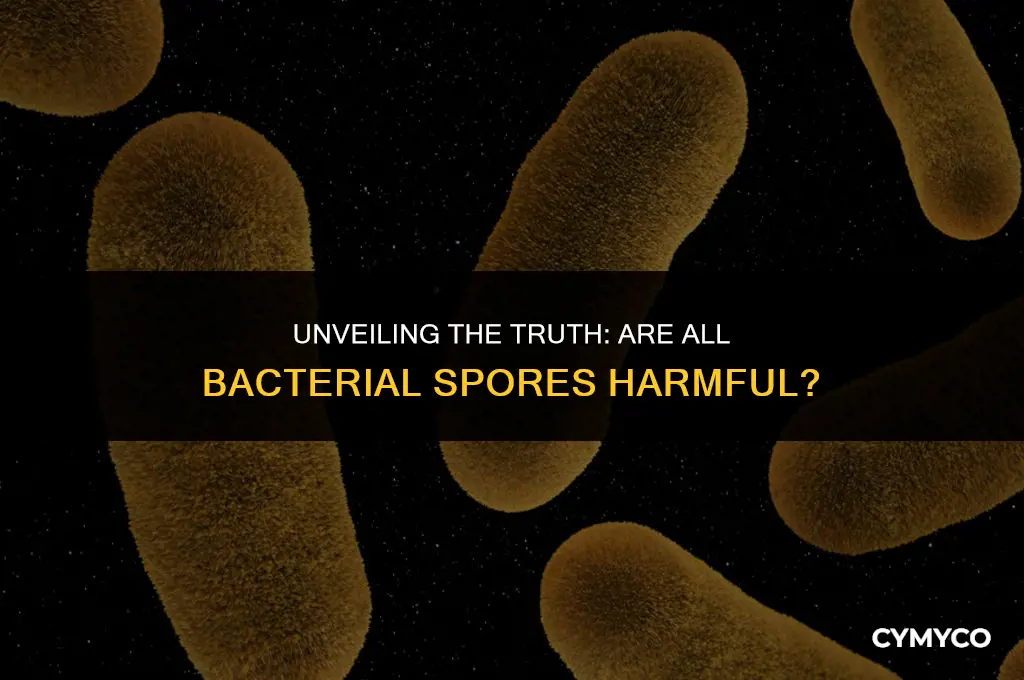 are all bacterial spores harmful