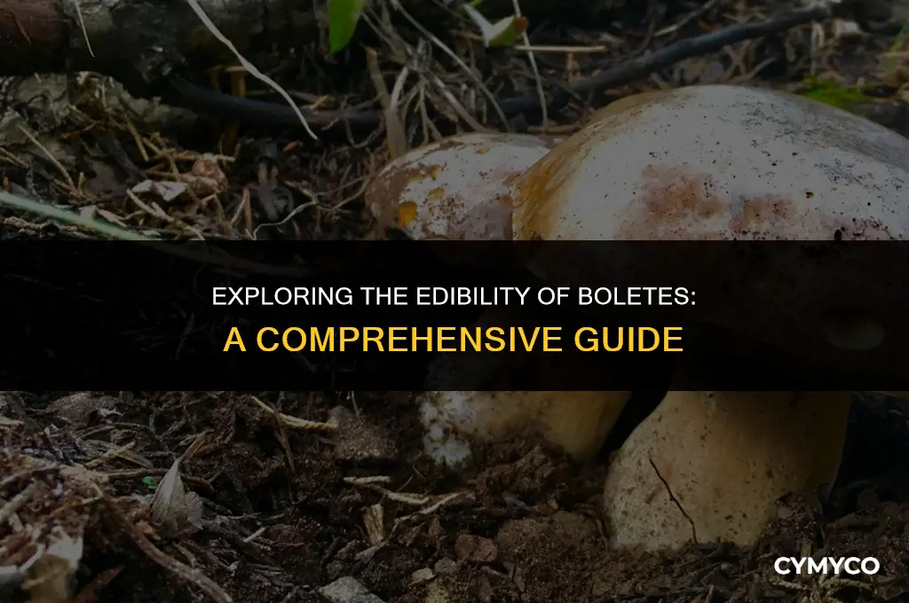 are all boletes edible