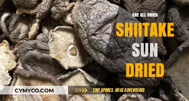 Exploring the Drying Methods of Shiitake Mushrooms: Sun-Dried or Not?
