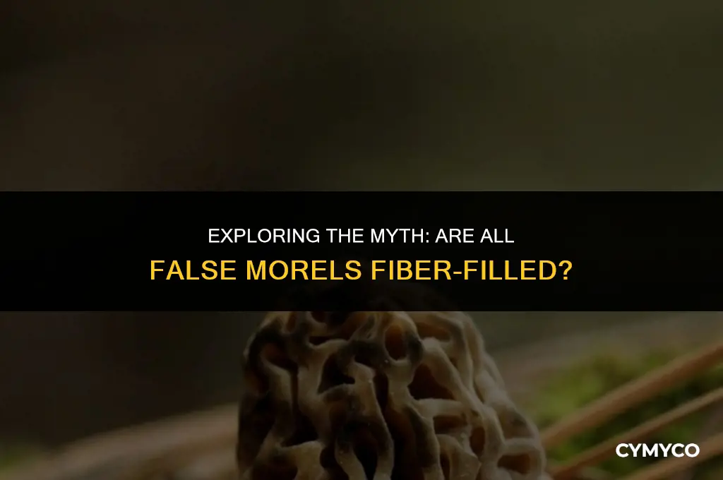 are all false morels filled with fibers