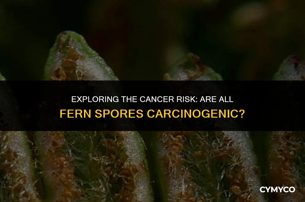 are all fern spores carcinogenic