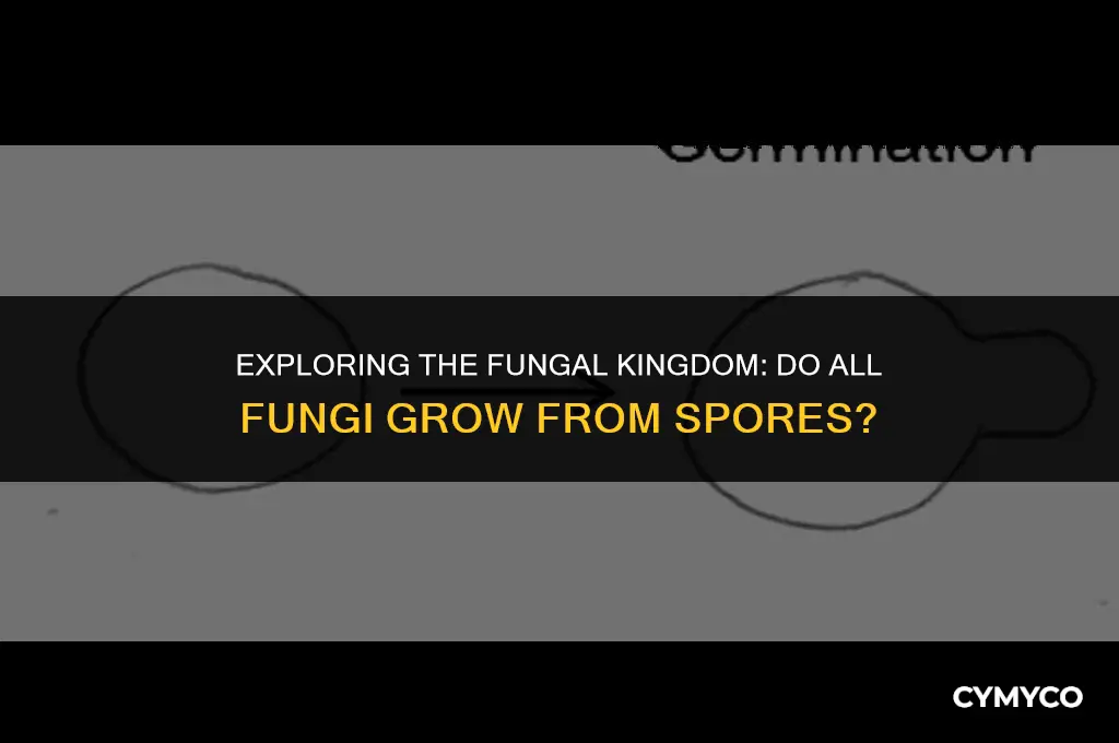 are all fungi grown from spores