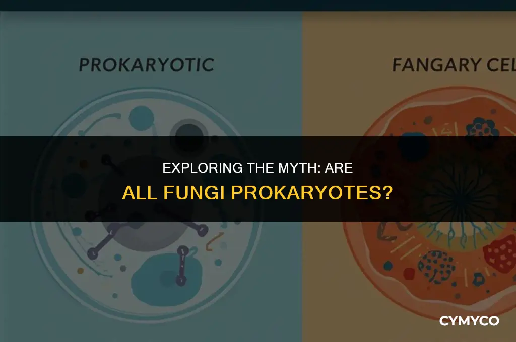 are all fungi prokaryotes
