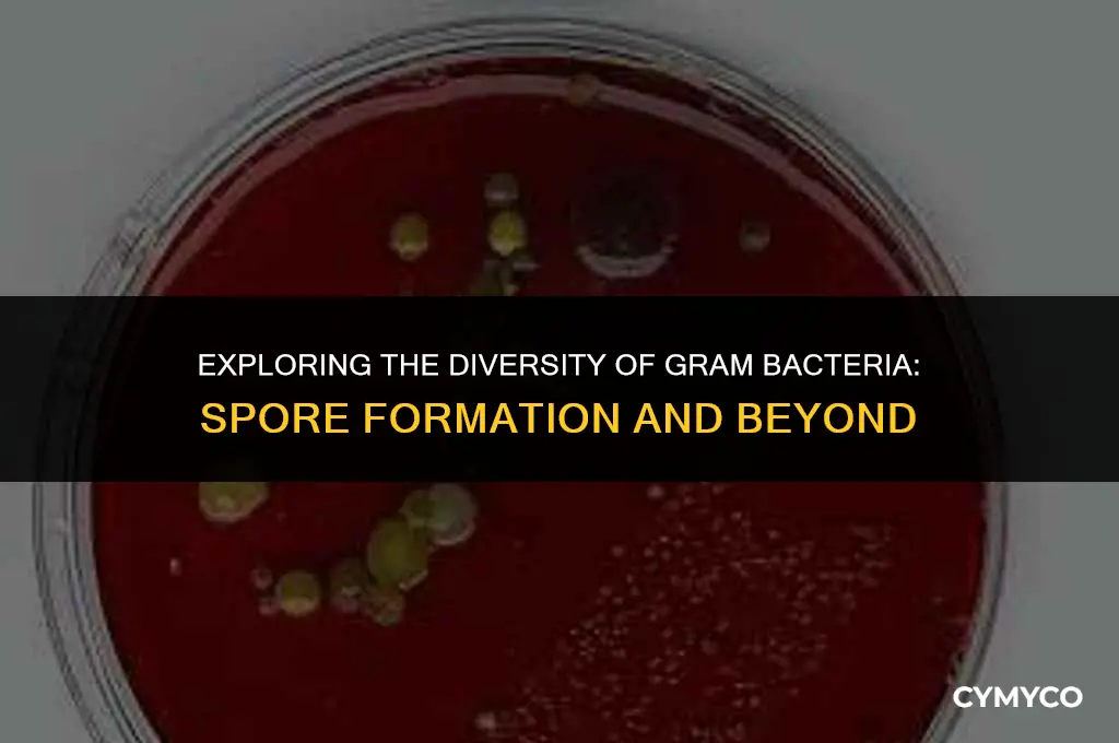 are all gram bacteria non-spore forming