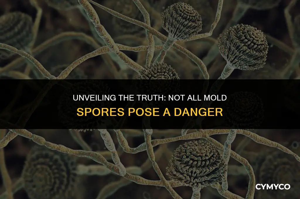are all mold spores dangerous