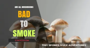 Smoking Mushrooms: Are They All Harmful or Just Misunderstood?