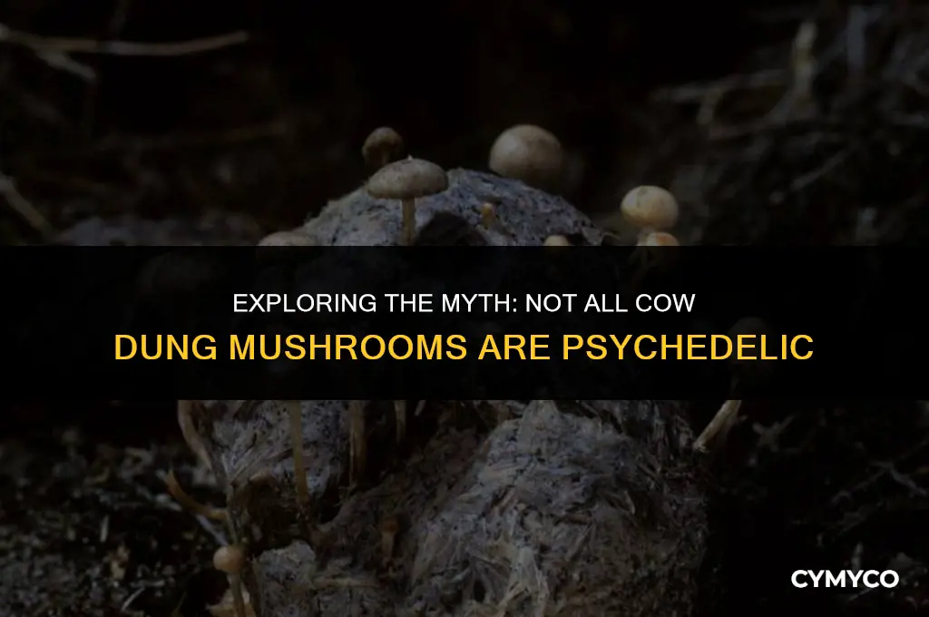 are all mushrooms that grow from cow dung psychedelic