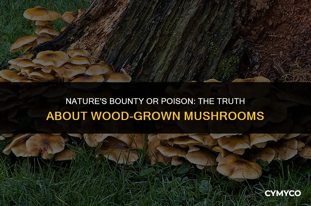 are all mushrooms that grow on wood edible