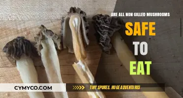 Exploring Edibility: A Guide to Non-Gilled Mushrooms