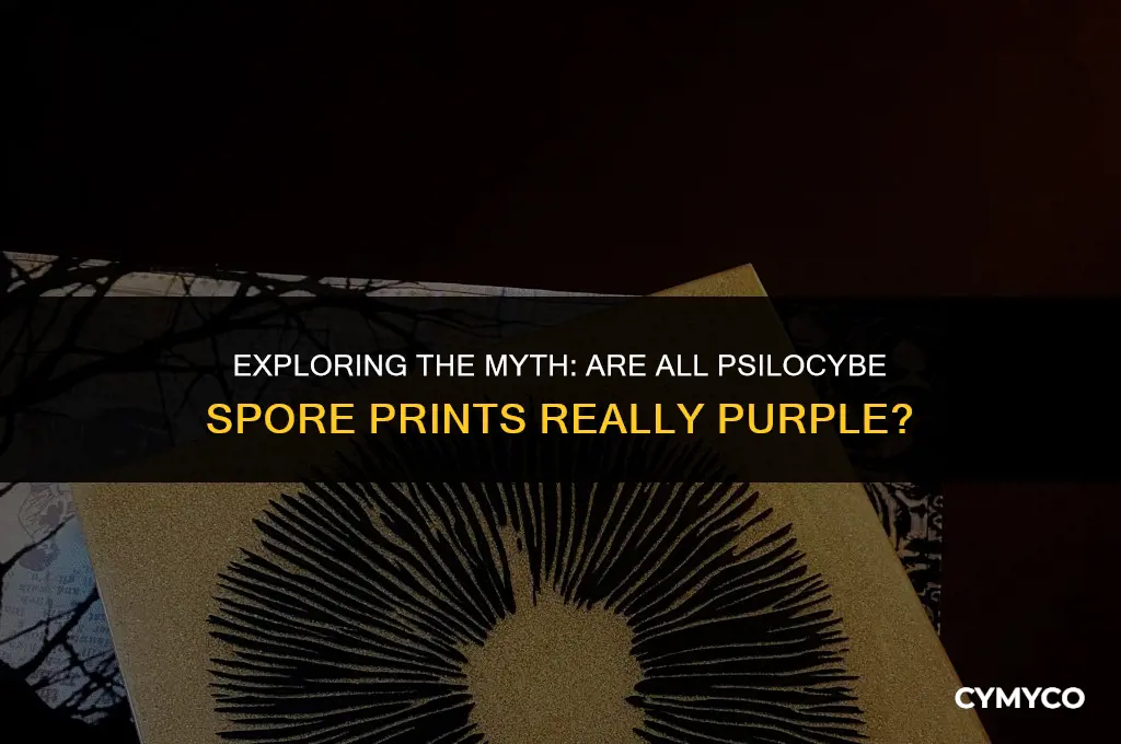 are all psilocybe spore prints purple