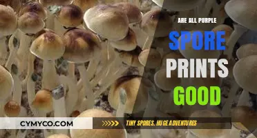 Exploring the Myth: Are All Purple Spore Prints Reliable?