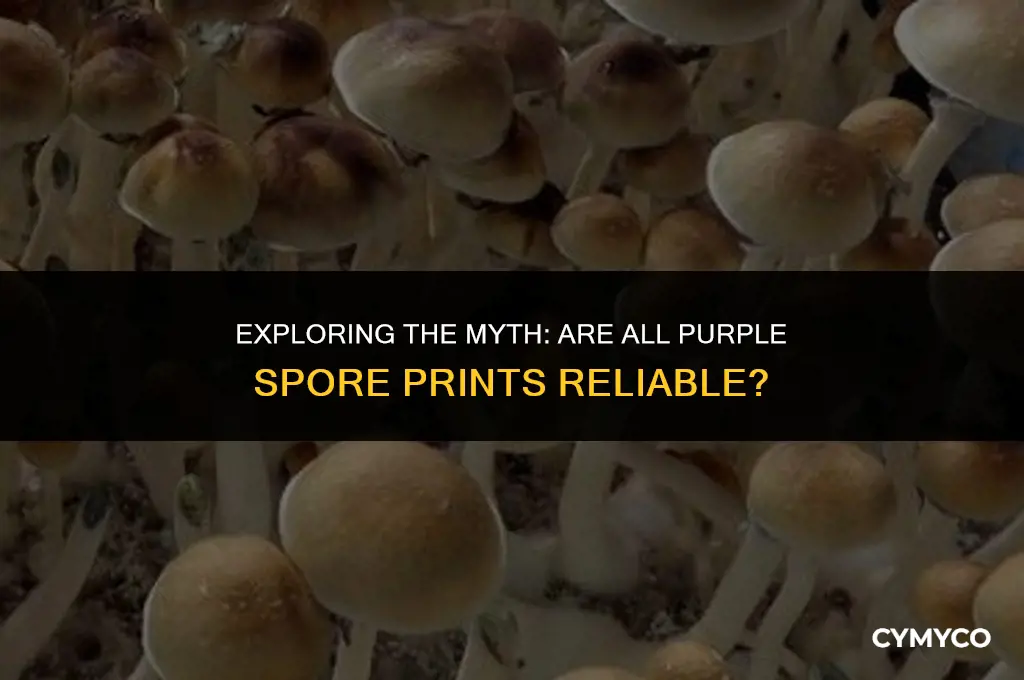are all purple spore prints good