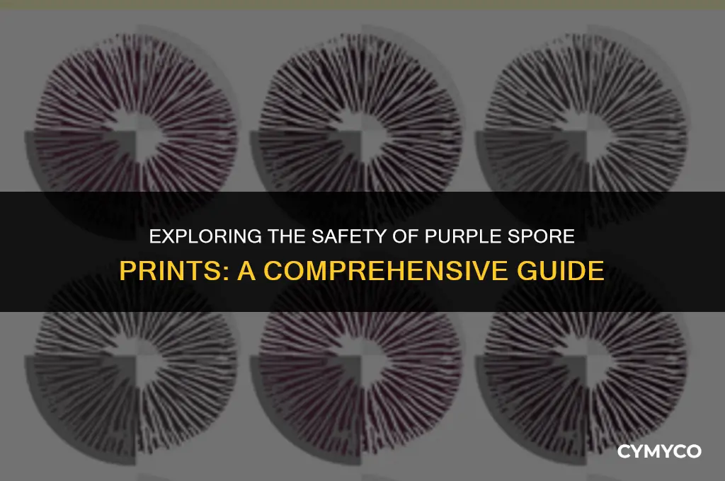 are all purple spore prints safe