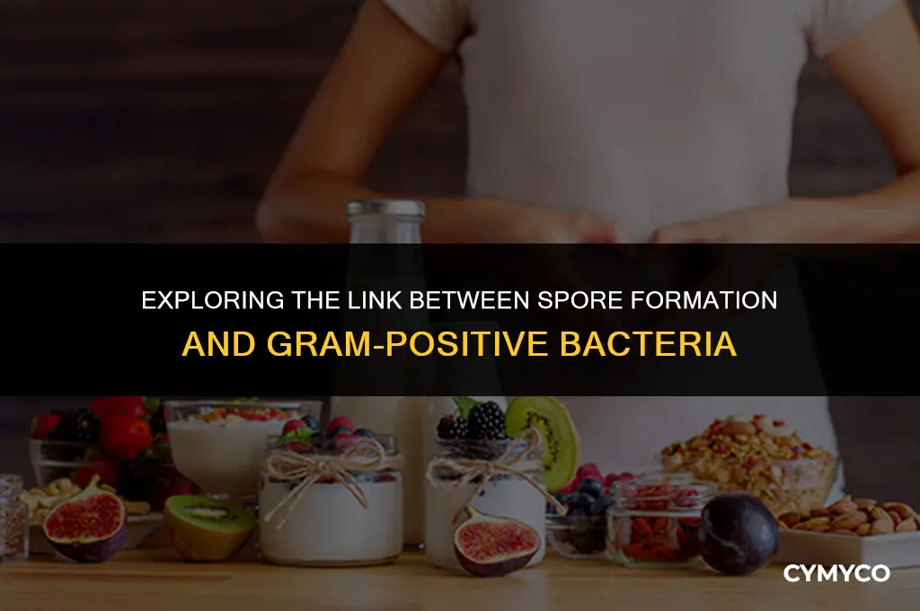 are all spore forming bacteria gram positive
