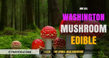 Exploring the Edibility of Washington's Wild Mushrooms: A Comprehensive Guide