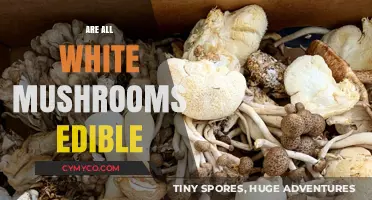 Exploring the Edibility of White Mushrooms: A Comprehensive Guide