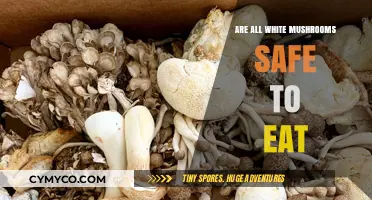 Exploring Edibility: Are All White Mushrooms Safe to Eat?