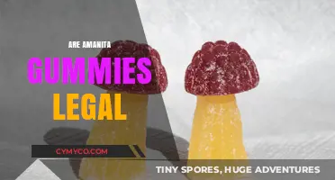 Exploring the Legality of Amanita Gummies: A Comprehensive Guide