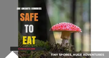 Exploring the Safety of Amanita Gummies: A Comprehensive Guide