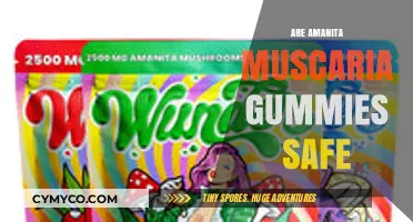 Exploring the Safety of Amanita Muscaria Gummies: A Comprehensive Guide