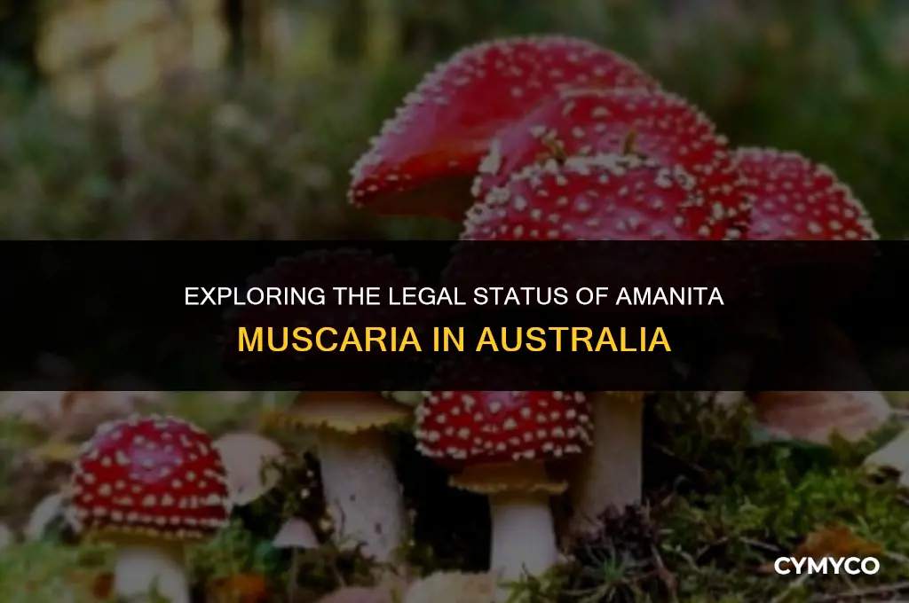 are amanita muscaria legal in australia
