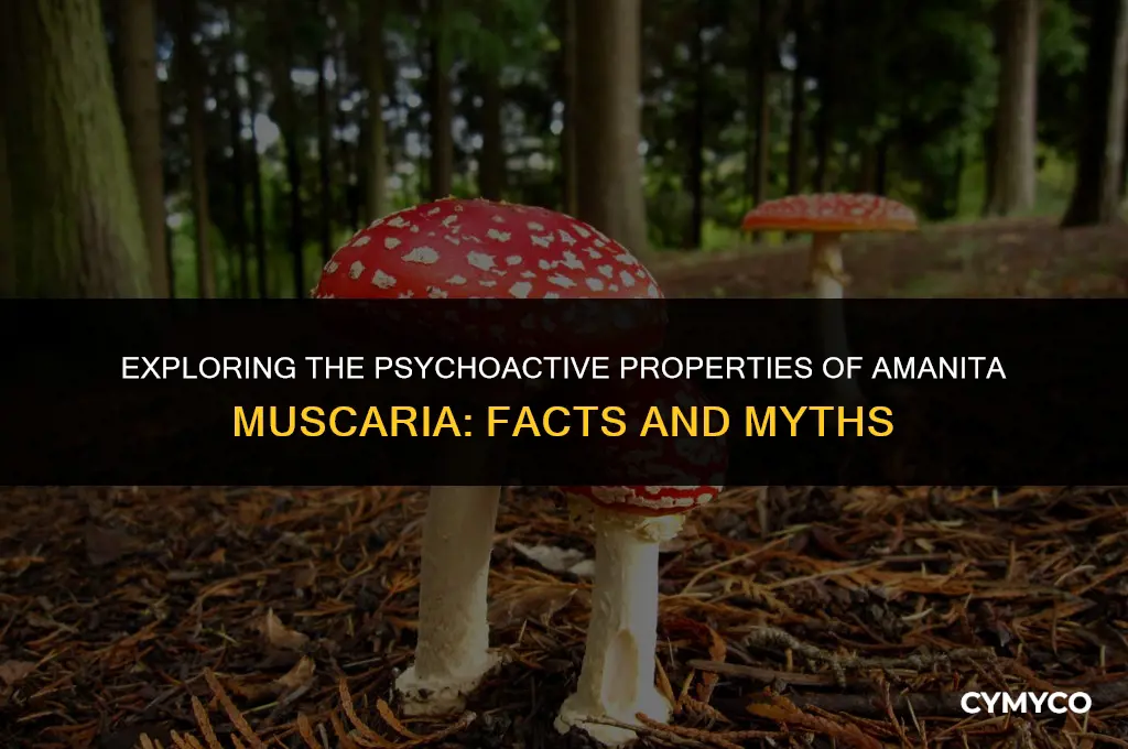 are amanita muscaria psychoactive