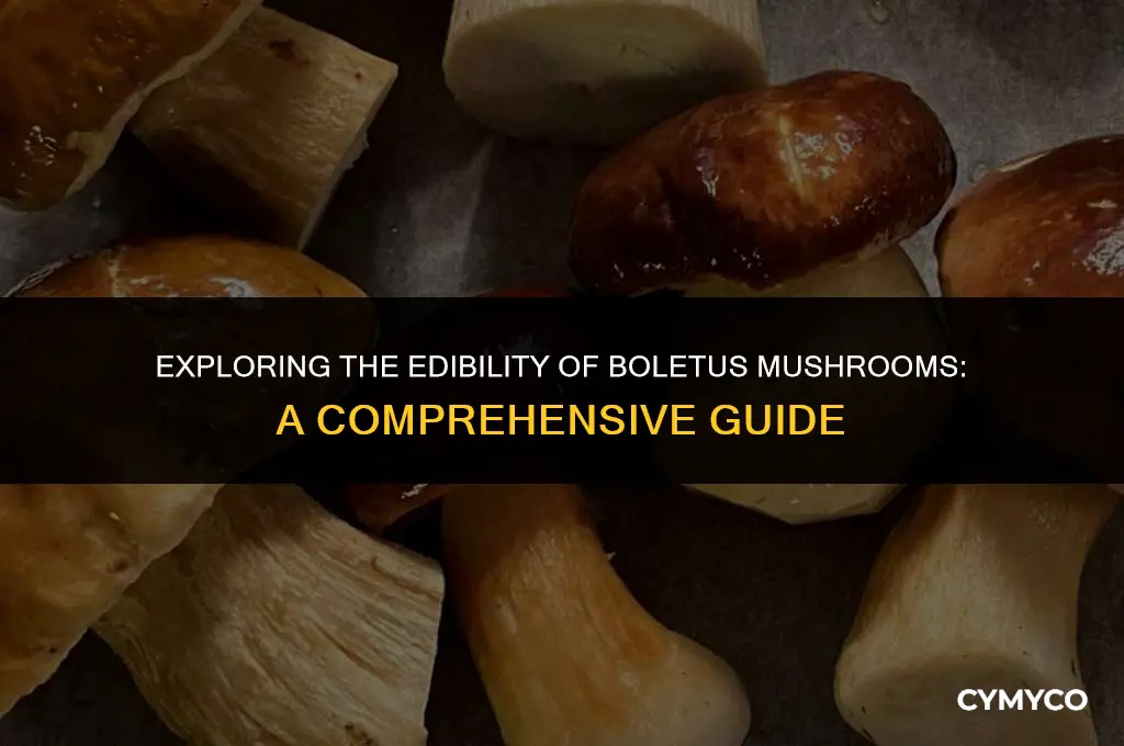are any kinds of boletus poisonous