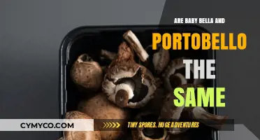 Exploring the Differences: Baby Bella vs. Portobello Mushrooms