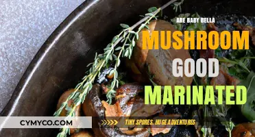 Delicious Baby Bella Mushrooms: A Marinade Lover's Delight