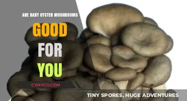 Exploring the Health Benefits of Baby Oyster Mushrooms