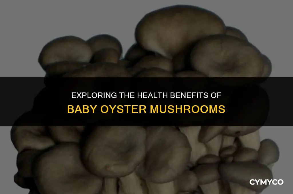 are baby oyster mushrooms good for you