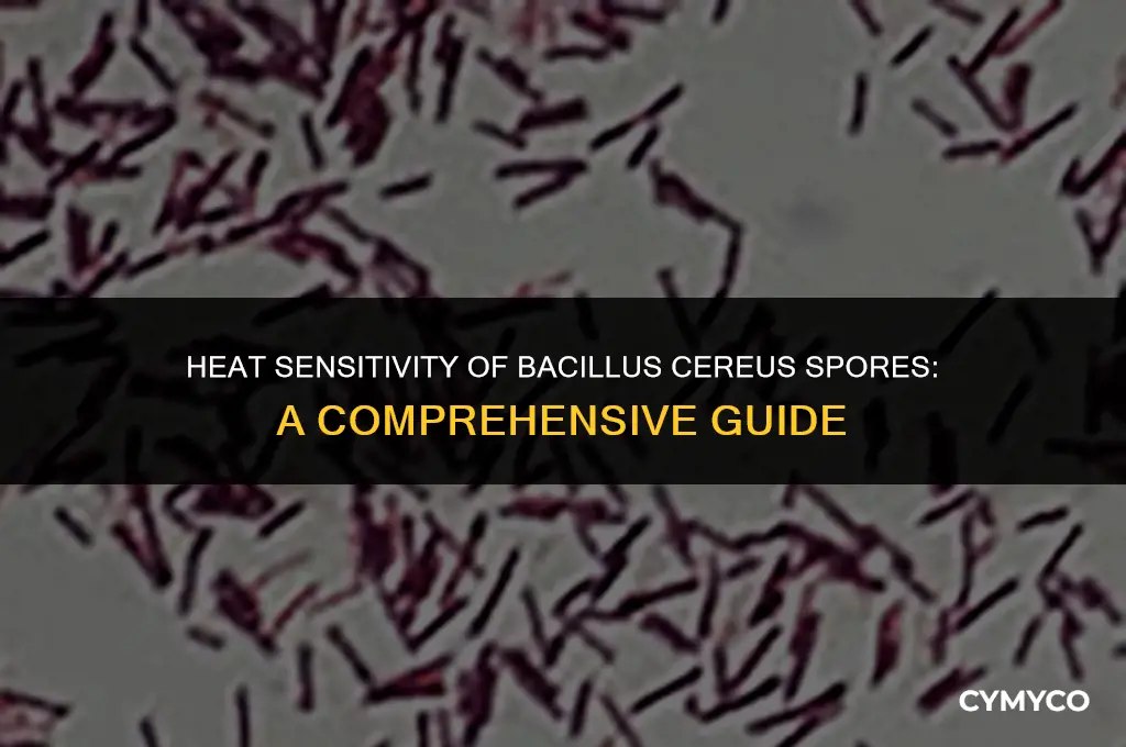 are bacillus cereus spores heat labile